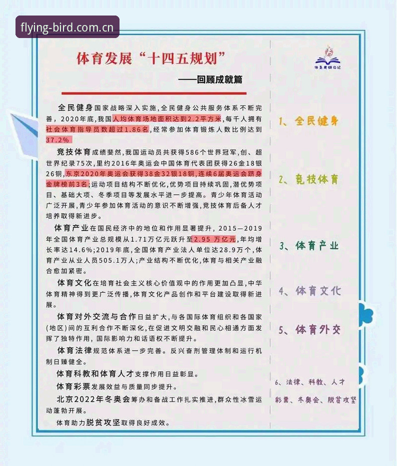 揭秘小鸟体育数据资讯：赛事背后你不知道的专业分析逻辑