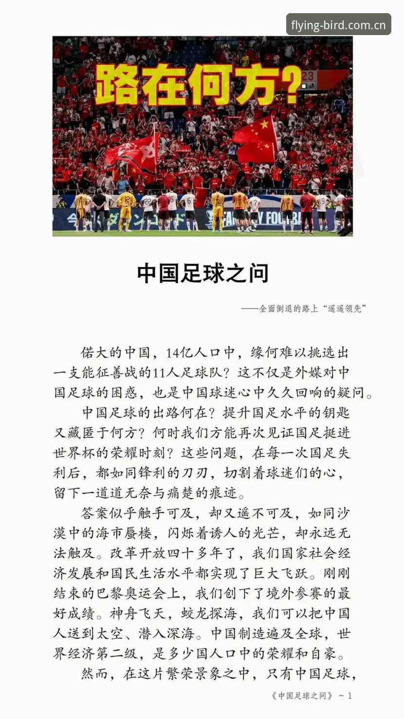 足球盛宴扩容实用指南：从世界杯扩军看中国队的机遇与小鸟体育观赛新体验